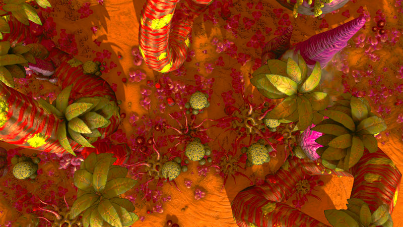 image shows toxic plants looking from above