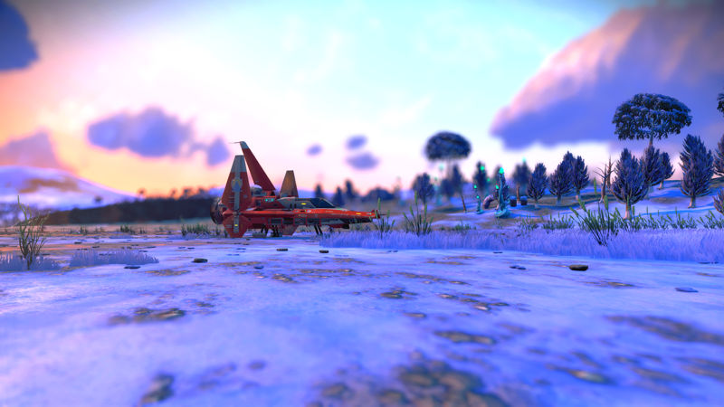 images shows a frozen landscape